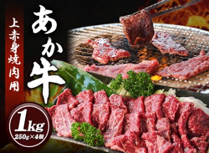 あか牛 上赤身焼肉用 1kg (250g×4個) 有限会社白水乃蔵《60日以内に出荷予定(土日祝除く)》 あかうし 赤牛 焼肉 冷凍 小分けパック