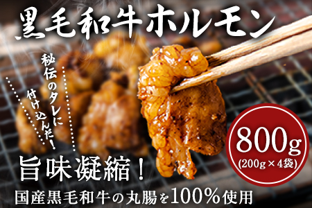 黒毛和牛ホルモン800g(200g×4袋) ブランド牛 有限会社トップルーフ《60日以内に出荷予定(土日祝除く)》