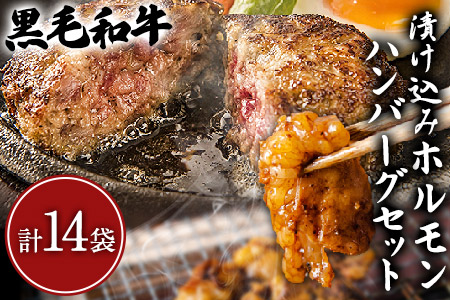 黒毛和牛漬け込みホルモン・ハンバーグセット（計14袋） 絶品 ブランド牛 黒毛和種 有限会社トップルーフ《60日以内に出荷予定(土日祝除く)》