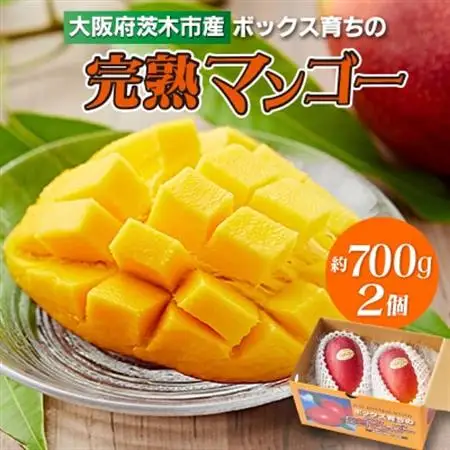 大阪茨木 小川農園の《贈答用》完熟マンゴー約700g〈2個入〉【R8年7月中旬発送開始】_果物・フルーツ マンゴー  _【配送不可地域：離島】【1231455】