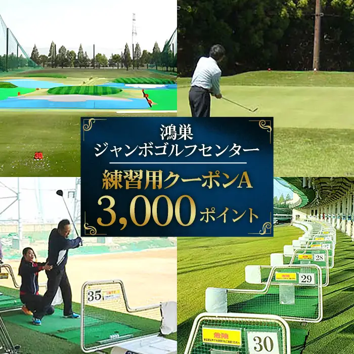 鴻巣ジャンボゴルフセンター　練習用クーポンA　ICカードにチャージして使える3000ポイント　300ヤード・88打席の解放感あふれる練習場 No.076