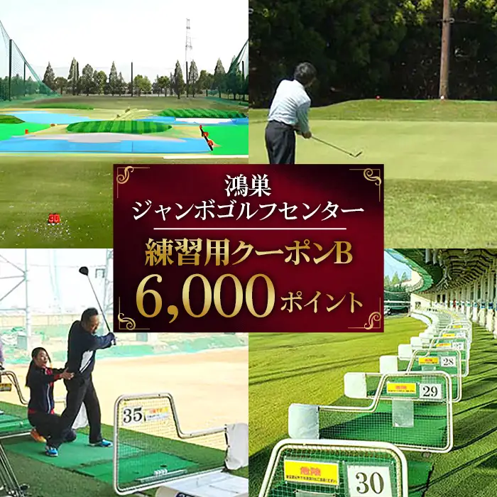鴻巣ジャンボゴルフセンター　練習用クーポンB No.146
