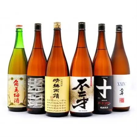 【佐多宗二商店】芋焼酎・梅酒まるごと1升びん 6本セット【1185963】