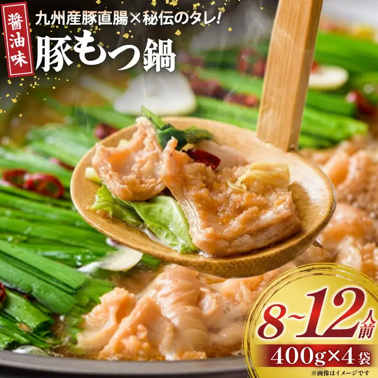 九州産 豚もつ鍋セット 400g×4袋 1.6kg [甲斐精肉店 宮崎県 日向市 452060708]