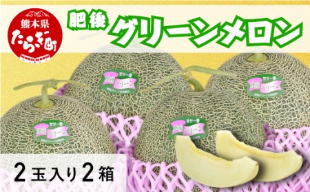 【2026年5月下旬～順次発送】【 先行予約 】熊本県産 肥後グリーン メロン 4玉（2玉入り×2箱） 1玉約1.6kg以上 合計約6.4kg以上 多良木町 メロン 果物 フルーツ 旬 甘い 熊本 多良木 産地直送 メロン 008-0664