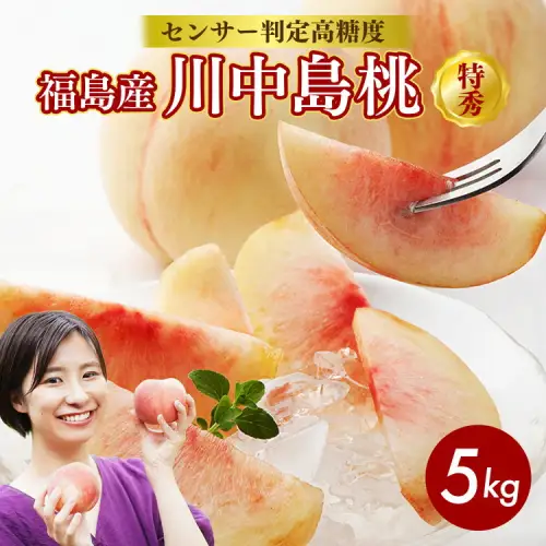 透過式光センサー川中島白桃 特秀5kg相当 15玉～18玉＜ ふくしま未来農業協同組合 ＞ | ふくしま 桃 福島 もも 国見 モモ ※2026年8月中旬頃より順次発送予定 ※沖縄・離島への配送不可