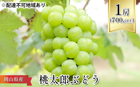 ぶどう 1房 700g以上 2026年 先行予約 桃太郎 ぶどう 