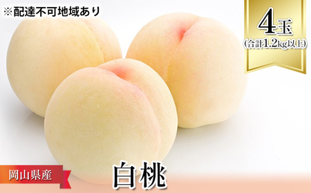 桃 2026年 先行予約 白桃 4玉（合計1.2kg以上）化粧箱