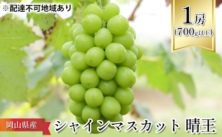 ぶどう シャインマスカット 晴王 2026年 先行予約   1房（700g以上）化粧箱 