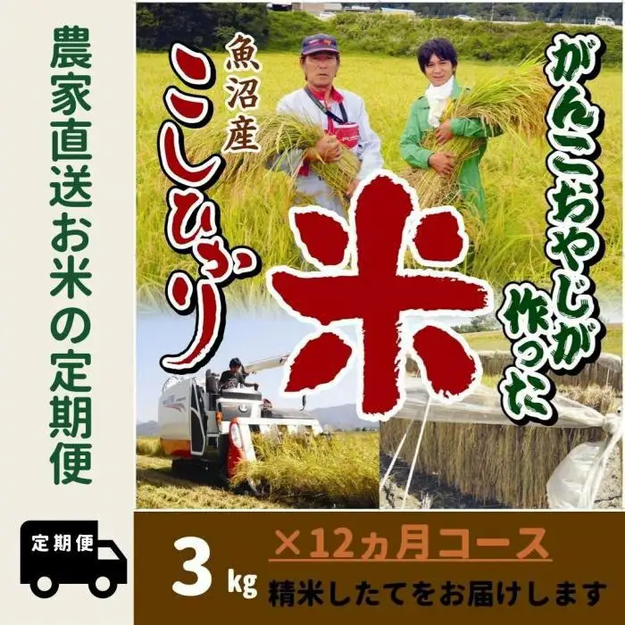 【令和７年産】12か月定期便　がんこおやじが作った南魚沼産コシヒカリ白米３kg【定期便 銘柄米 ブランド米 精米 こしひかり コシヒカリ 魚沼産 新潟米 産地直送 お米 米 こめ コメ ご飯 御飯 ごはん】
