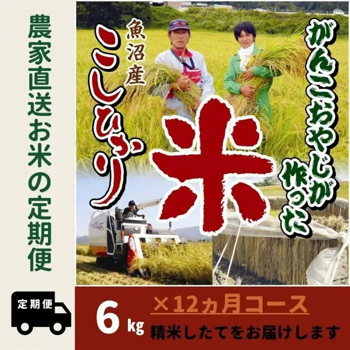 【令和７年産】12か月定期便　がんこおやじが作った南魚沼産コシヒカリ白米６kg（３kg×２袋）【定期便 銘柄米 ブランド米 精米 こしひかり コシヒカリ 魚沼産 新潟米 産地直送 お米 米 こめ コメ ご飯 御飯 ごはん】