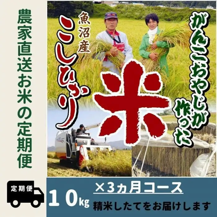 【令和７年産】３か月定期便　がんこおやじが作った南魚沼産コシヒカリ白米１０kg（５kg×２袋）【定期便 銘柄米 ブランド米 精米 こしひかり コシヒカリ 魚沼産 新潟米 産地直送 お米 米 こめ コメ ご飯 御飯 ごはん】