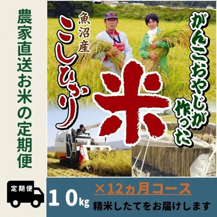 【令和７年産】12か月定期便　がんこおやじが作った南魚沼産コシヒカリ白米１０kg（５kg×２袋）【定期便 銘柄米 ブランド米 精米 こしひかり コシヒカリ 魚沼産 新潟米 産地直送 お米 米 こめ コメ ご飯 御飯 ごはん】
