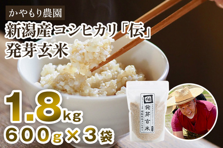 【令和7年産】[発芽玄米] 新潟産コシヒカリ「伝」発芽玄米1.8kg（600g×3個）《9月下旬〜順次出荷》