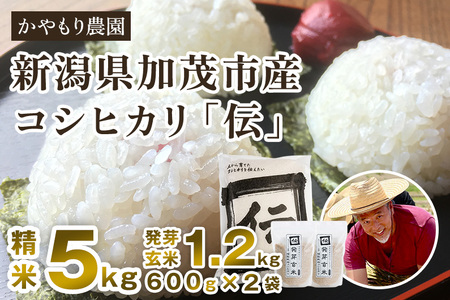 【令和7年産】新潟産コシヒカリ「伝」精米5kgと発芽玄米1.2kg（600g×2）セット 《9月下旬〜順次出荷》