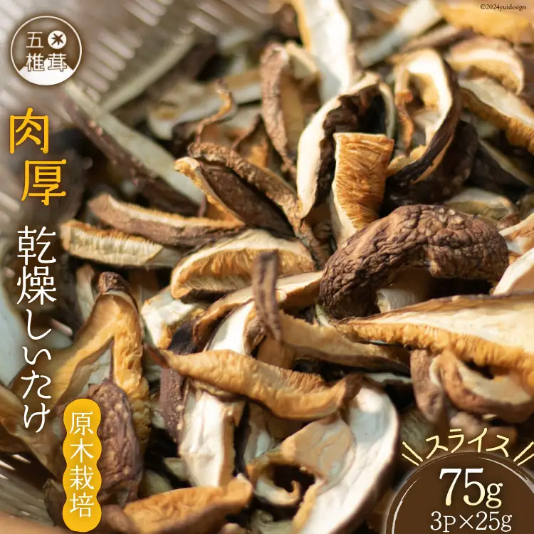 しいたけ 乾燥 肉厚 乾燥しいたけ約25g 3p 計75g  [日添 熊本県 五木村 51120279] 