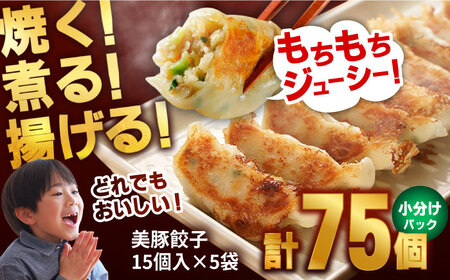 美豚餃子75個（15個×5袋） 五島市/長崎フードサービス[PEL003]餃子