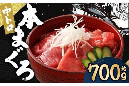 長崎県産 本マグロ「中トロ」約700g