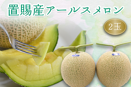 【2026年発送】置賜産マスクメロン（アールスメロン）約1.75kg～2.0kg×2玉_H136(R8)