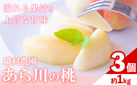 ブランド桃 あら川の桃 大玉3個入り