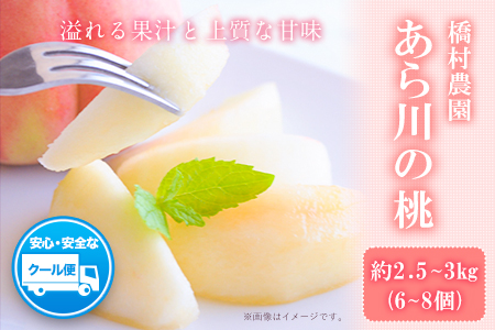 【先行予約】【大玉】 あら川の桃 約2.5kg-3kg(6-8個※1個300g以上)橋村農園《2026年7月上旬-8月上旬頃出荷》和歌山県 紀の川市