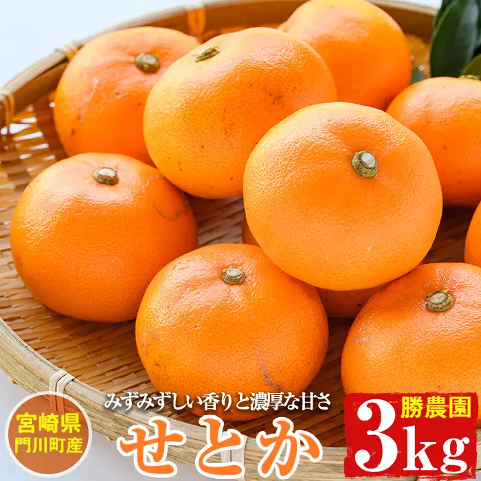 宮崎県門川町産せとか(約3kg) 柑橘 果物 数量限定 期間限定 国産 フルーツ 常温保存 遠見半島 宮崎県 門川町 【AE-18】【勝農園】