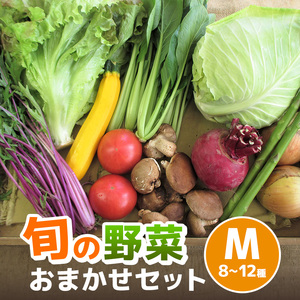 旬の野菜【M】セット【配達不可：北海道・沖縄・離島】 詰合せ 