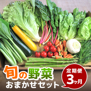 旬の野菜・定期便（3か月）【配達不可：北海道・沖縄・離島】 セット 詰合せ 3カ月 3回 