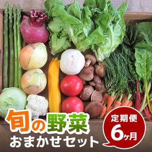 旬の野菜・定期便（6か月）【配達不可：北海道・沖縄・離島】 セット 詰合せ 6ヶ月 6回 