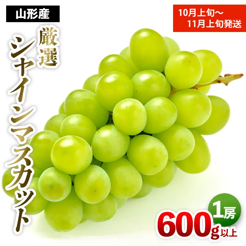 厳選シャインマスカット 秀品 600g以上 1房入 1箱 [後半] 【令和8年産先行予約】FS25-679 くだもの 果物 フルーツ 山形 山形県 山形市 2026年産