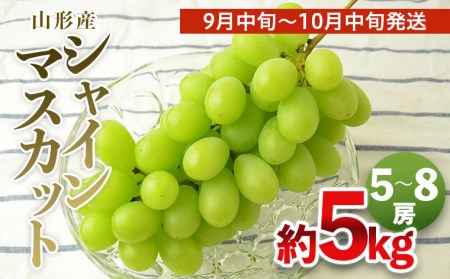 山形の大粒シャインマスカット 秀品 約5kg(5～8房)[9月中旬～10月中旬発送]【令和8年産先行予約】FS24-645 くだもの 果物 フルーツ 山形 山形県 山形市 2026年産