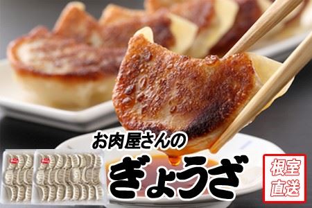餃子25個×2P A-70049