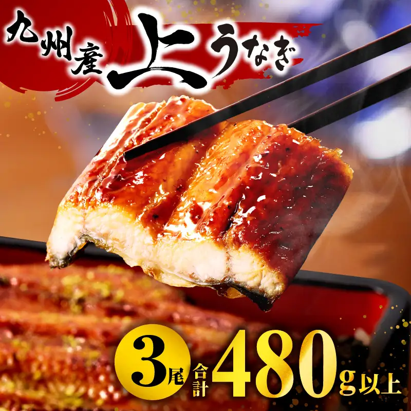 うなぎ 国産 蒲焼 3尾 うなぎ[480g以上]