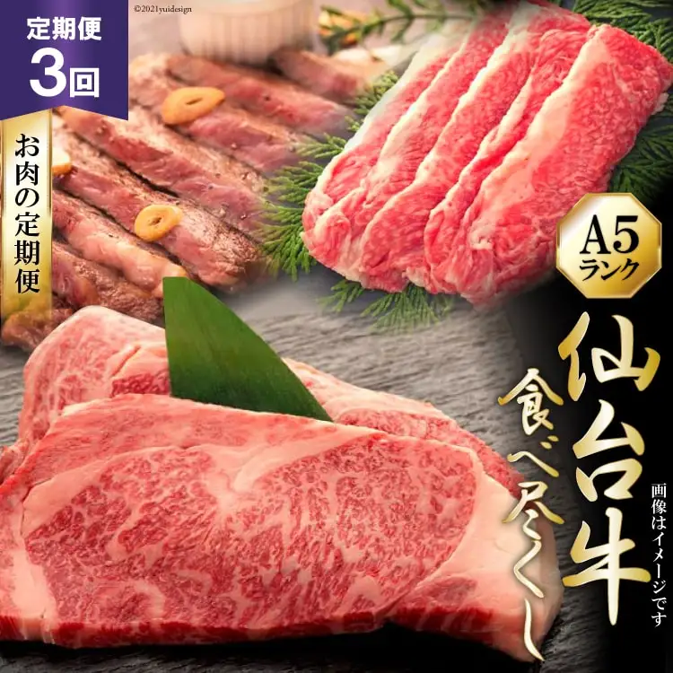 3回 定期便 仙台牛食べ尽くしお肉の定期便 [気仙沼市物産振興協会 宮城県 気仙沼市 20565329]