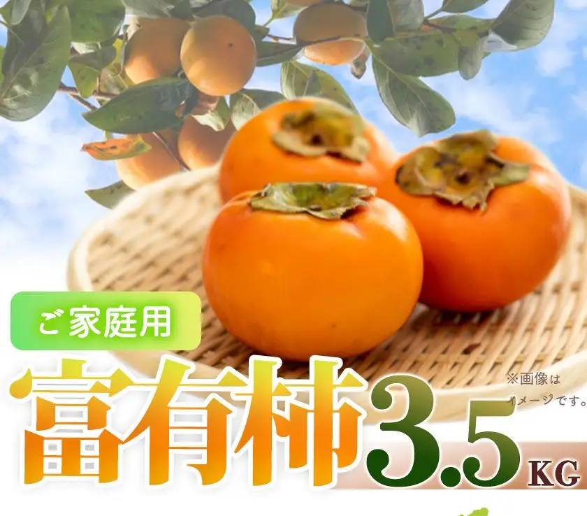 ［ご家庭用わけあり］和歌山秋の味覚　富有柿　約3．５ｋｇ　「2026年11月上旬以降発送予定」［UT51］