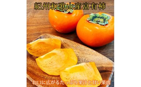 【ご家庭用わけあり】和歌山秋の味覚　富有柿　約3．５ｋｇ　「2026年11月上旬頃～2026年12月上旬頃に順次発送予定」【UT51】【uot741】