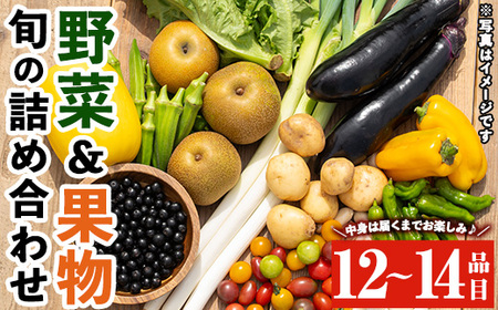 野菜と果物旬の詰め合わせ(12～14品目) 国産 九州産 鹿児島県産 野菜 やさい果物 くだもの フルーツ デザート 詰め合わせ お楽しみ セット 旬【鹿児島県経済農業協同組合連合会】_y358