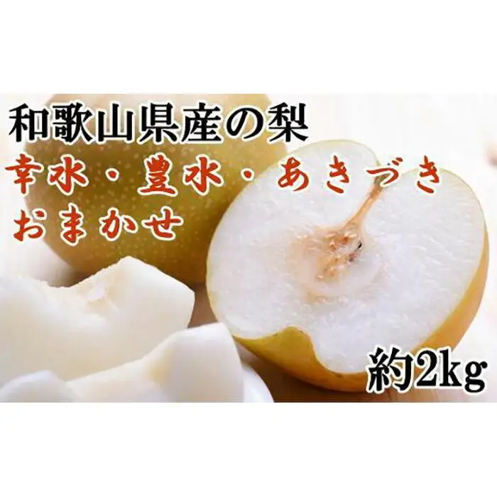 和歌山県産の梨約2kg(品種おまかせ)★2026年8月下旬頃より順次発送【TM181】