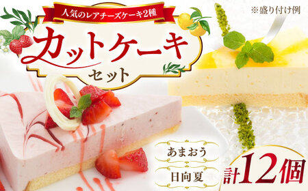 レアチーズケーキ( あまおう/ 日向夏 ) ケーキ 2種12個 冷凍 糸島市 / 五洋食品産業 [AQD008]