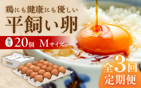 【 全3回 定期便 】  平飼い 卵  「 天上卵 」 20個 セット 《糸島》【株式会社おおはまファーム】 [AKH002]