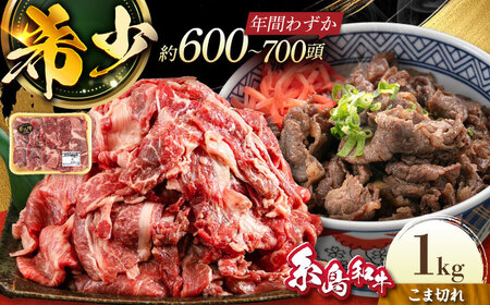 【月限定10個】希少 和牛 糸島 和牛 こまぎれ 1kg 糸島 / トラヤミートセンター [AJD003] 和牛 こまぎれ 1kg