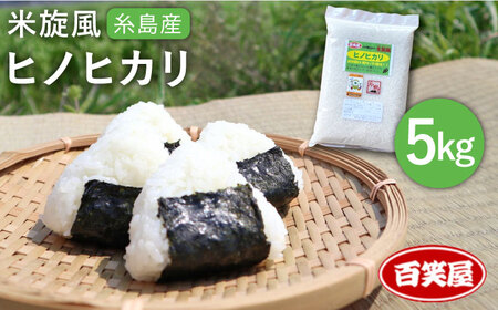 【 栽培期間中農薬不使用 】米 旋風 ヒノヒカリ 5kg 《糸島》【百笑屋】 [ABF003]   米 お米 白米 精米 ひのひかり