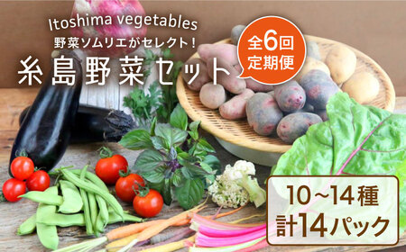 【全6回定期便】旬を味わう 糸島 野菜 セット 10～14種 （14パック） / イタリア野菜 オーガニック 野菜ソムリエ 松永 糸島市 / vegeLabo [AJB002]