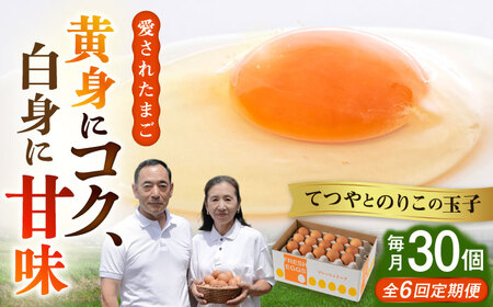 【全6回定期便】【30個×6ヶ月】黄身にコク！白身に甘み！てつやとのりこの玉子 板垣ファーム [AWD009]