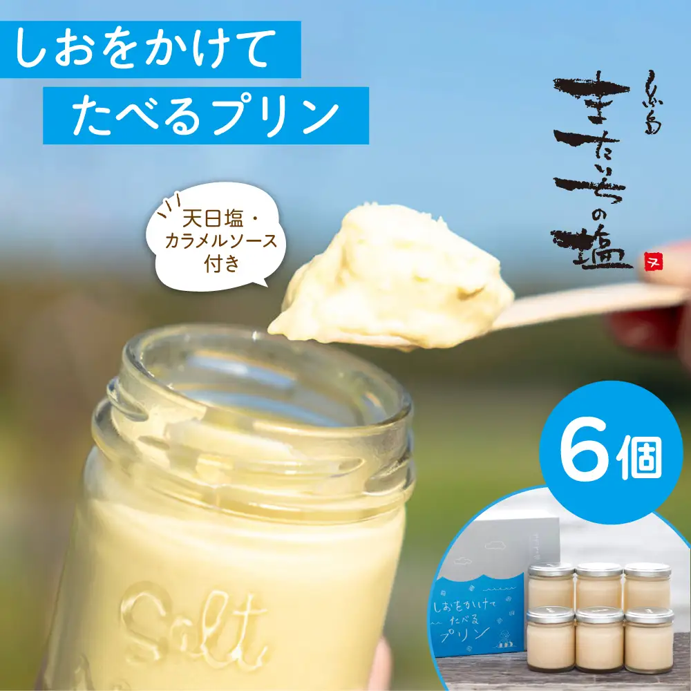 しおが主役 しおをかけてたべる プリン 花塩 プレーン 6個 セット 糸島市 / またいちの塩 [AEB001] ランキング 上位 人気 おすすめ