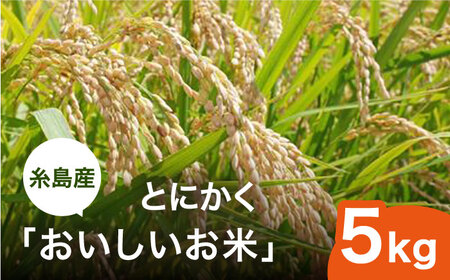 とにかくおいしいお米 ひのひかり または にこまる 5kg 糸島市 シーブ [AHC021]