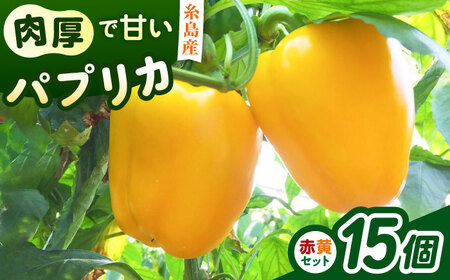 糸島産 肉厚 パプリカ 15個 福岡県  糸島市 / シーブ [AHC032] 野菜 ピーマン