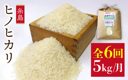 【全6回定期便】 ヒノヒカリ 5kg  福吉産 お米 栽培期間農薬不使用 糸島 / 二丈赤米産直センター [ABB012] ひのひかり 米