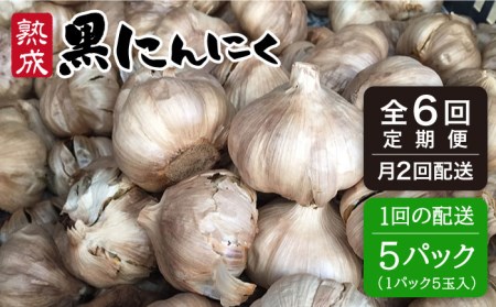【 全6回（月2回） 定期便 】【 頒布会 】熟成 黒 にんにく 定期 コース  5パック《糸島》【シーブ】[AHC004]
