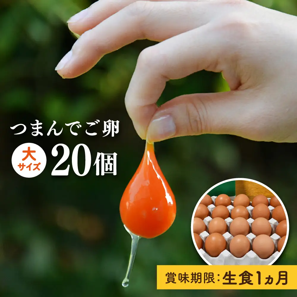  つまんでご卵 卵 大サイズ 20個 セット  [AGA008] たまご